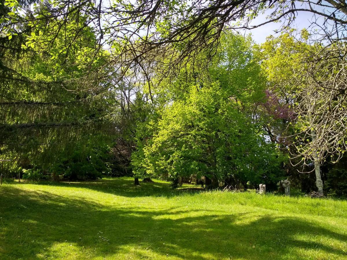 Pyrenees Vue Gite - Vues Fantastique, Parking Gratuit Sur Place & Piscine Saint Gaudens Kültér fotó